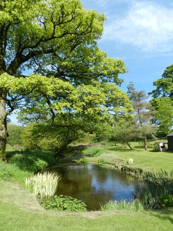 Rowrah Hall Bed & Breakfast Whitehaven Buitenkant foto